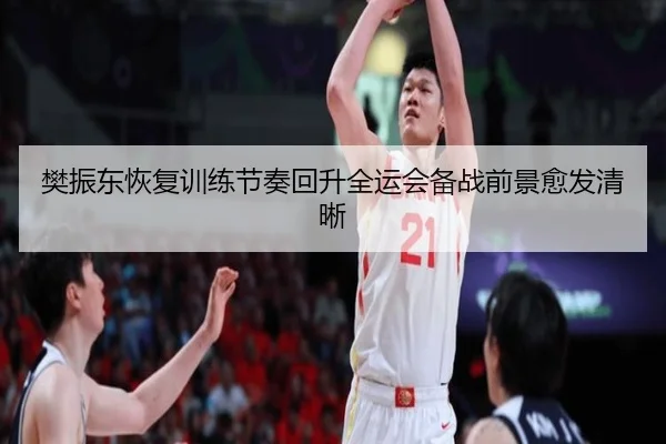 樊振东恢复训练节奏回升全运会备战前景愈发清晰